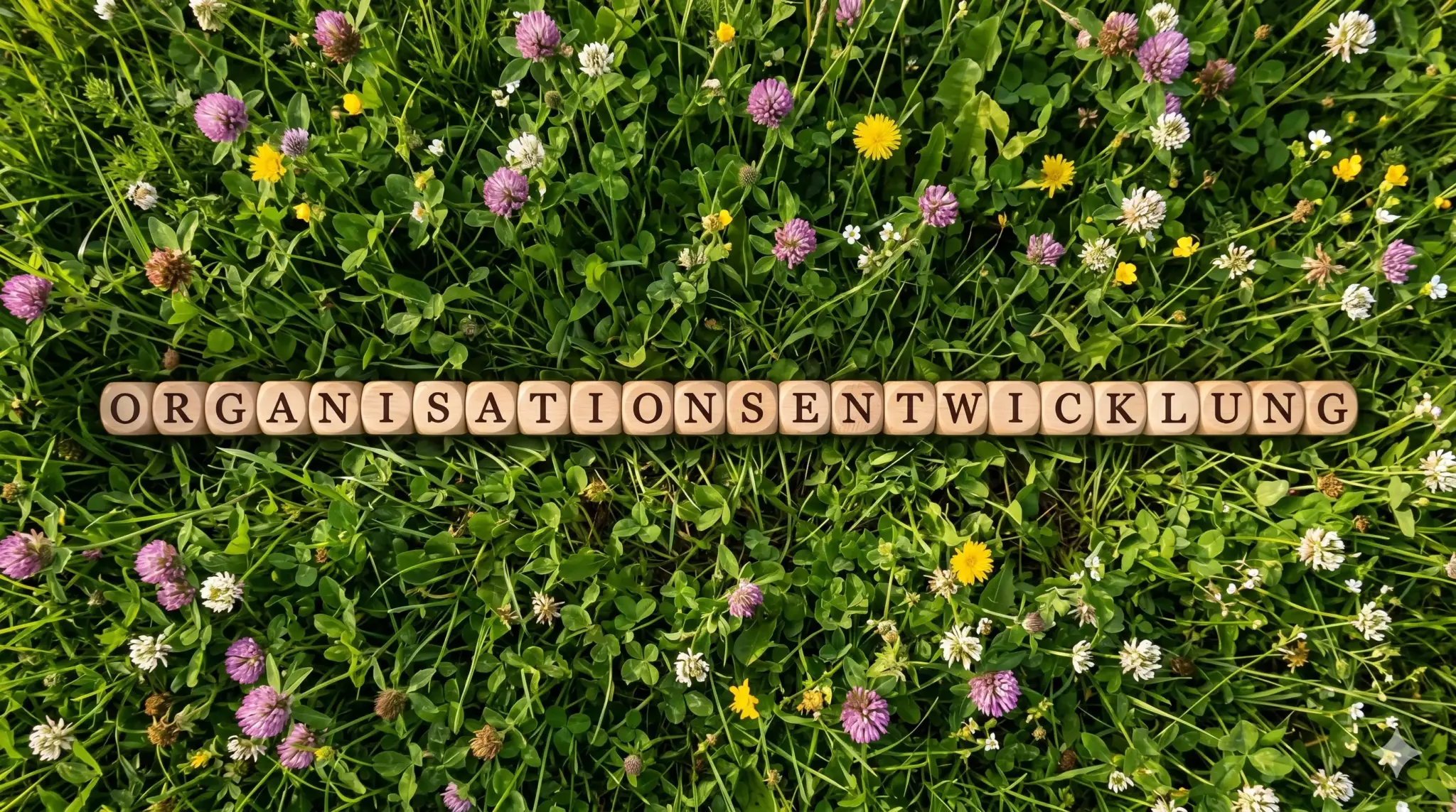 Organisationsentwicklung - Die Organisationsgärtner
